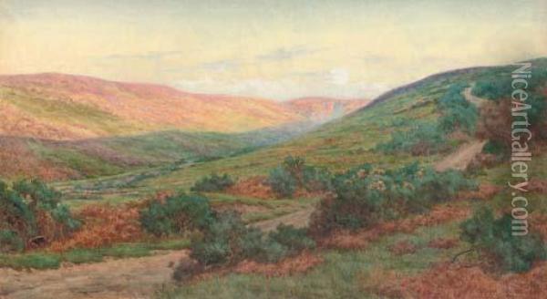 A Colourful Valley In Summer Oil Painting - Byron Cooper