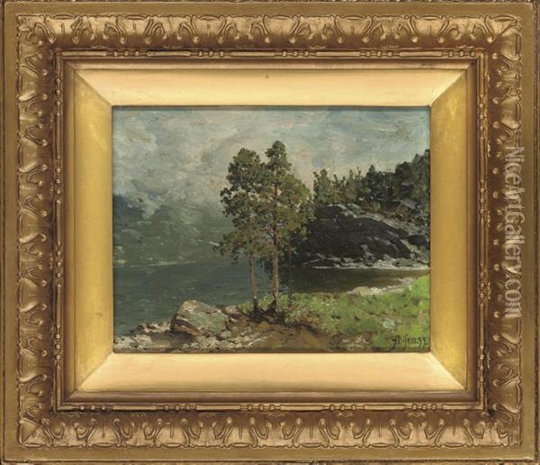 A Norwegian Fjord Oil Painting - Andreas Edvard Disen