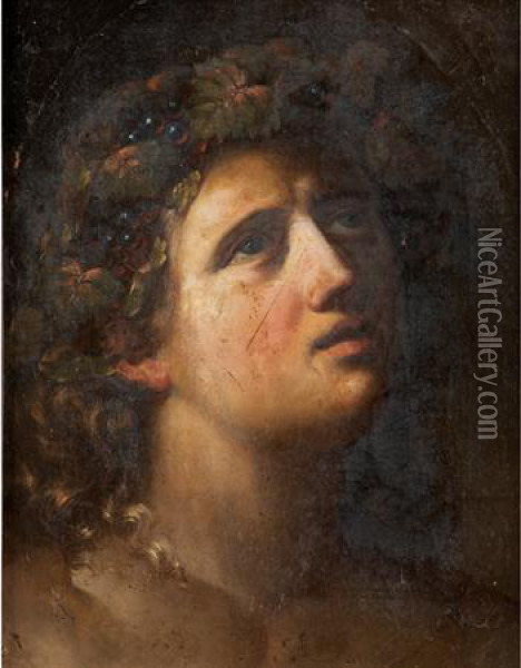 Head Of Bacchus Oil Painting - Dosso Dossi