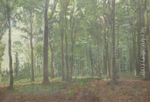 Waldlichtung Oil Painting - Hermann Druck