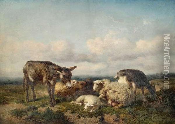 Flock Ofsheep And A Donkey In An Extensive Summery Landscape. Oil Painting - Eugene Verboeckhoven