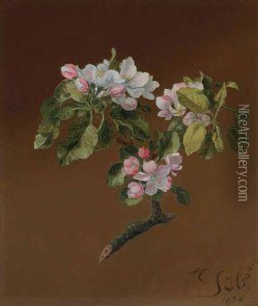 Spray Of Apple Blossoms Oil Painting - Martin Johnson Heade