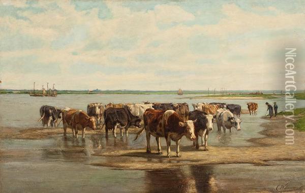 Kuhe An Der Tranke Oil Painting - Cornelis Willem Hoevenaar Jnr.