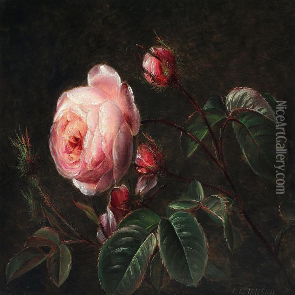 Branches Of Pink Roses Oil Painting - Johan Laurentz Jensen