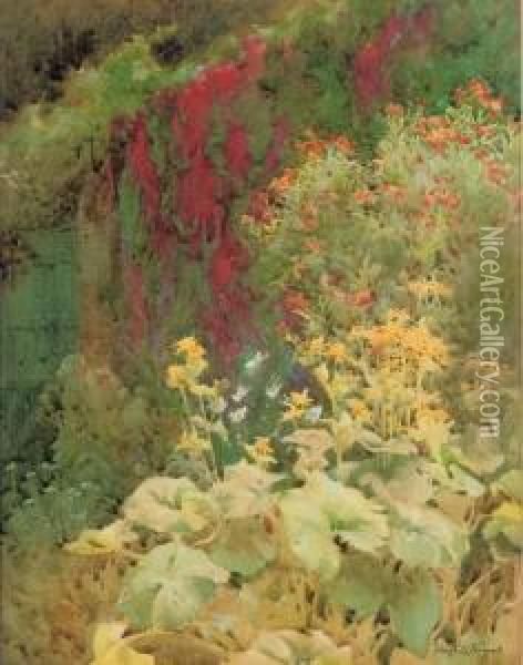 Flame Flower [tropaeolum Speciosum] And Summer Ragwort [senecio Clivorum] In A Herbaceous Border Oil Painting - Hugh L. Norris
