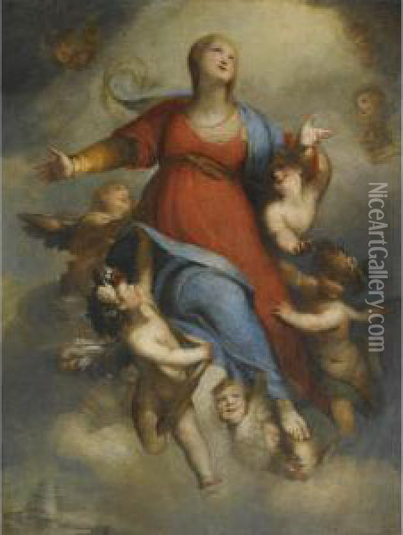 The Assumption Of The Virgin Oil Painting - Domenico Piola