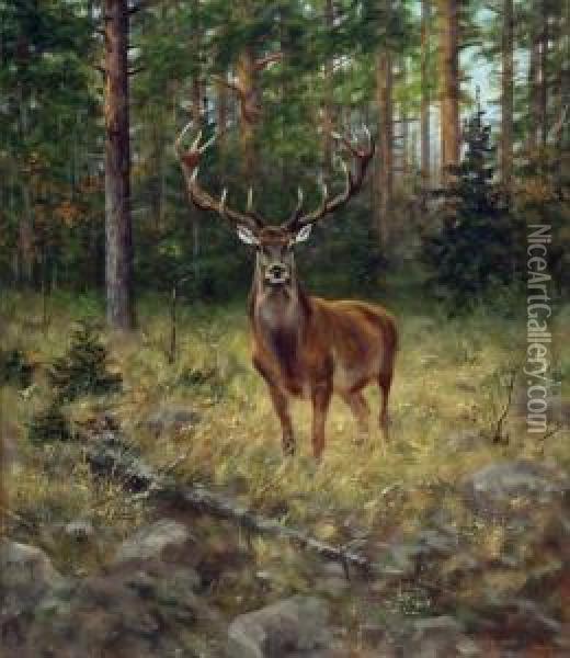 Stag In The Woods Oil Painting - Alexander Pope